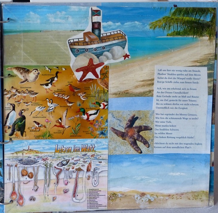 Meeresbuch11