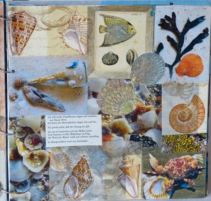 Meeresbuch7