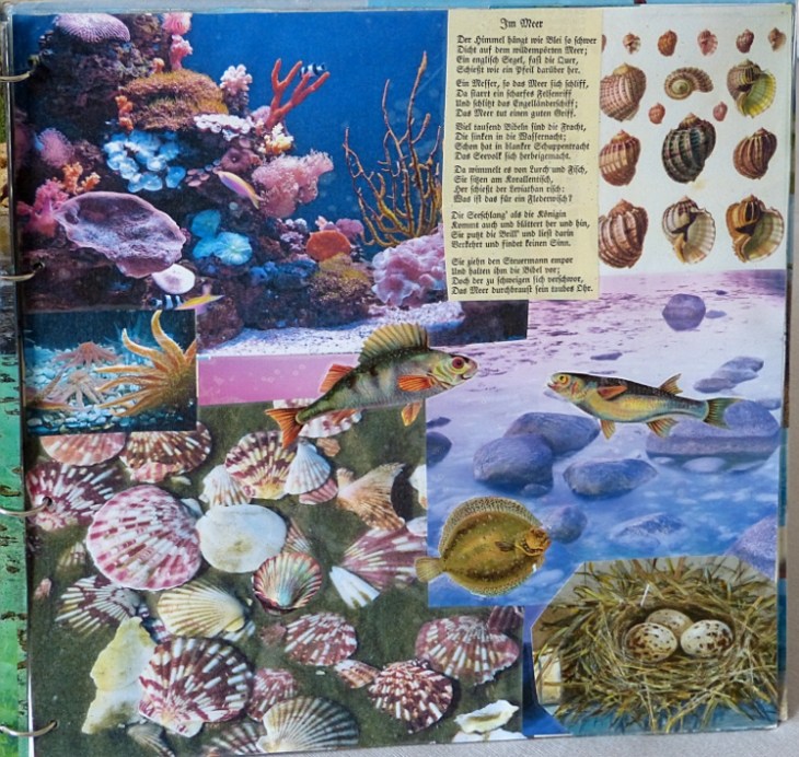 Meeresbuch9