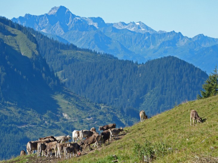 allgäu21
