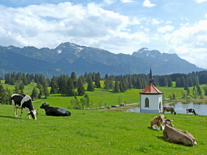 Wanderung Halblech13