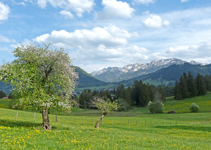 Wanderung Halblech16