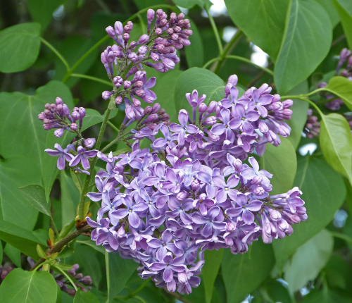 Wanderung Halblech23