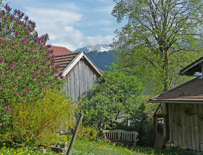 Wanderung Halblech24