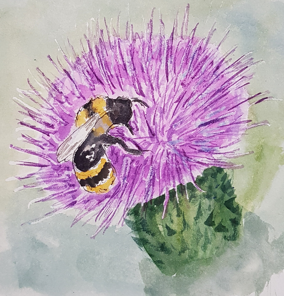 Hummel und Distel