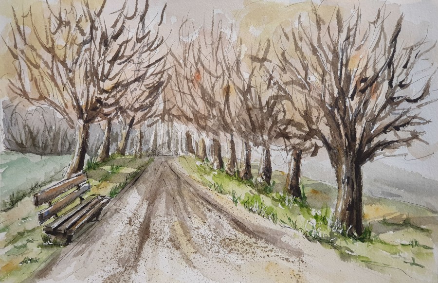 Weg zum See – Pathway to the&nbsp;Lake