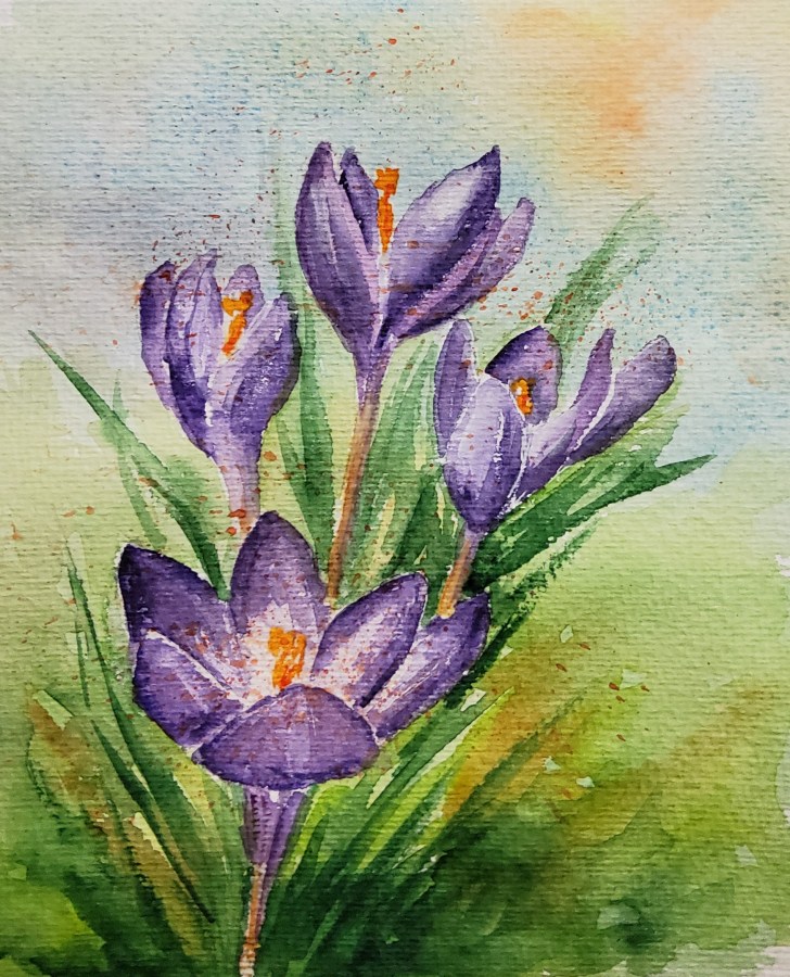 Erste Frühlingsboten – Heralds of&nbsp;Spring