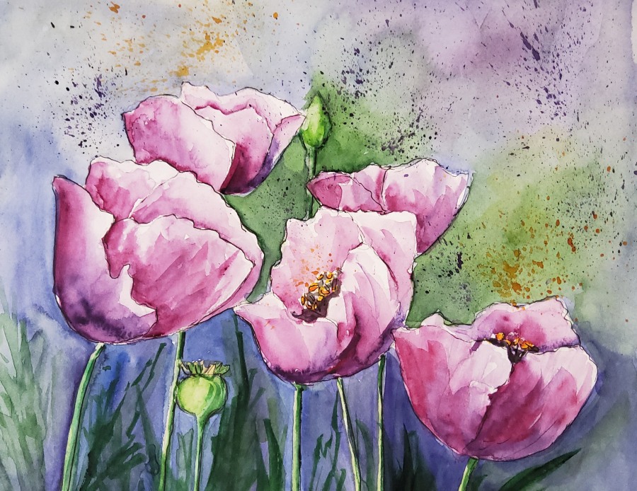 Rosa Mohn – Pink Poppies