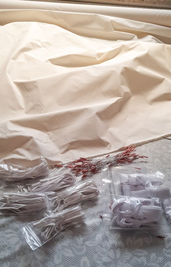 Leben in Zeiten des Coronavirus –  Life in the Time of Corona&nbsp;Virus