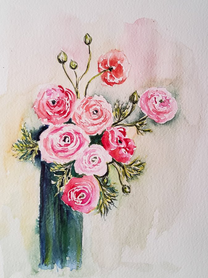 Ranunkeln – Persian&nbsp;Buttercups