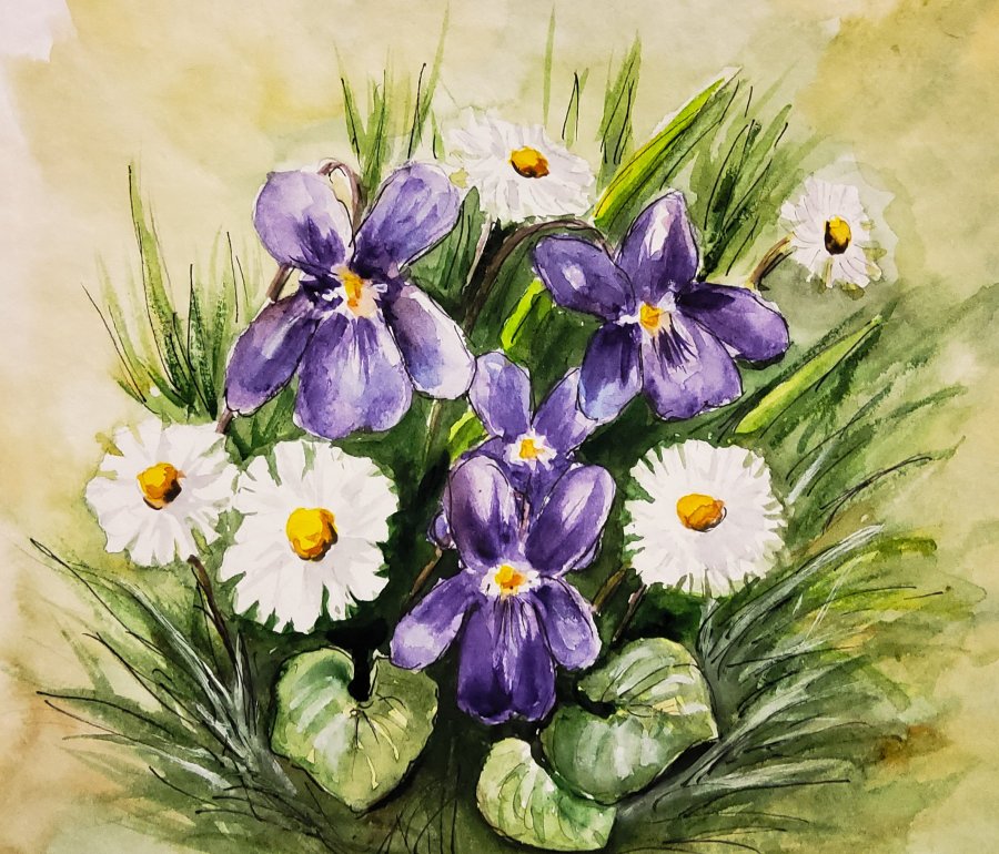 Veilchen und Gänseblümchen – Violets and&nbsp;Daisies